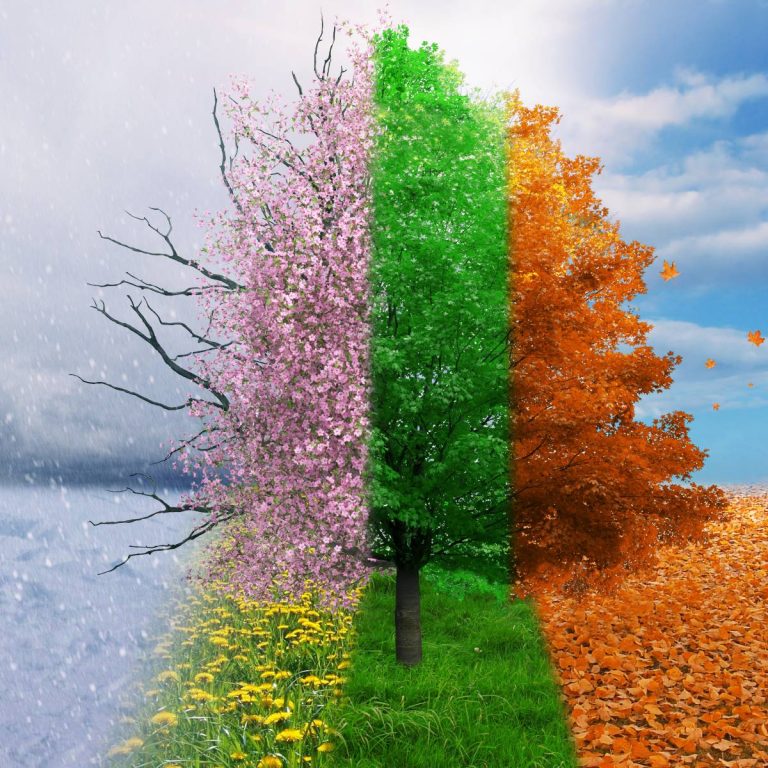 saisonnalité des activités de formateur indépendant